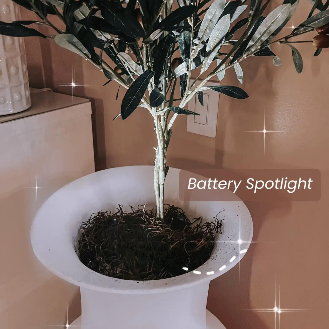 Vase Flower Pot (Without Plants)