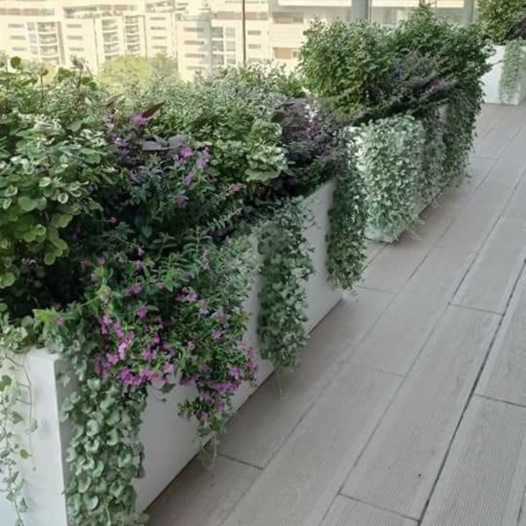Rectangle planter POTS (WITHOUT PLANT)
