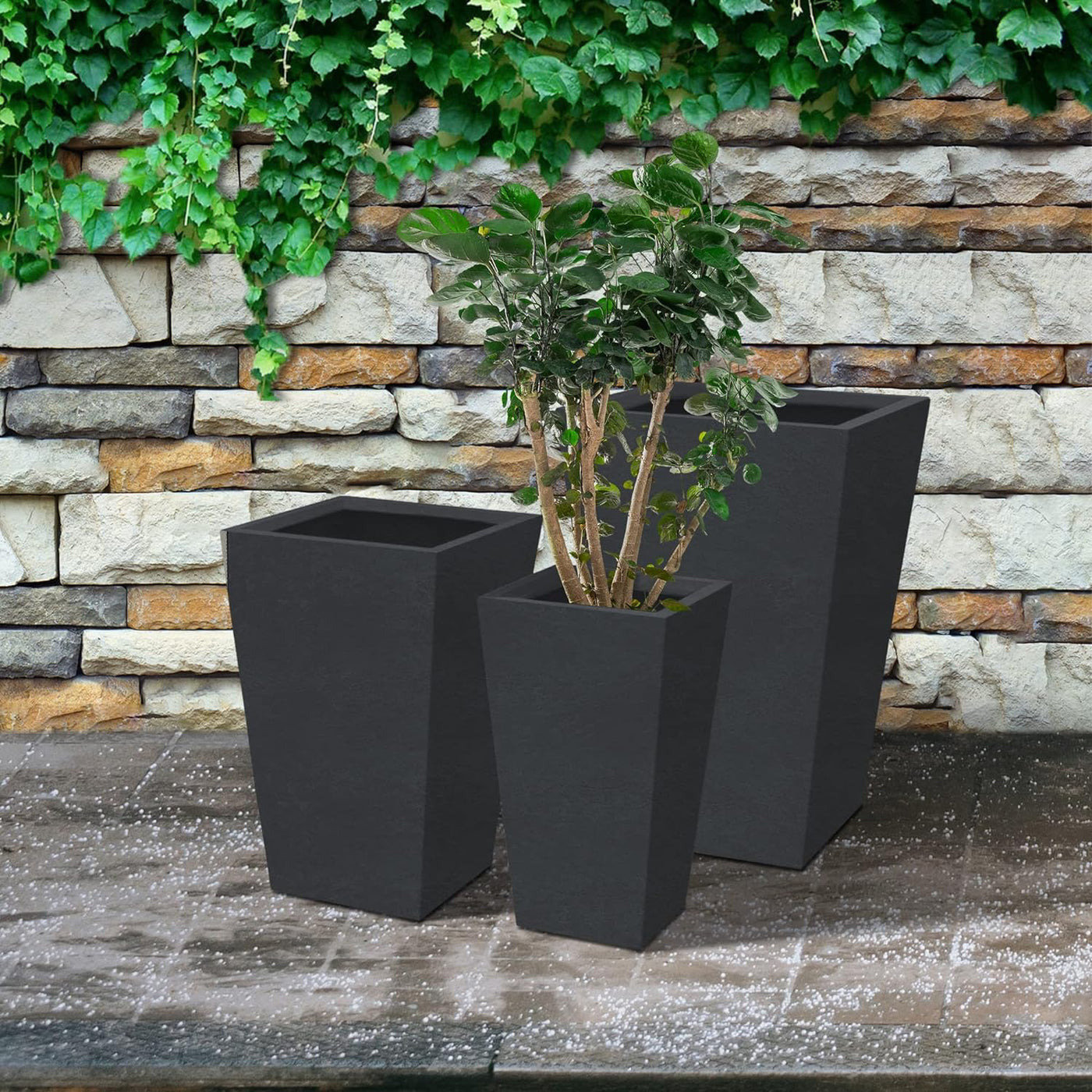 Planter & Pots