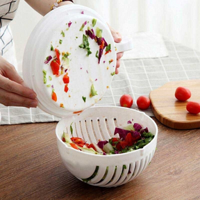 Salad Cutter Bowl