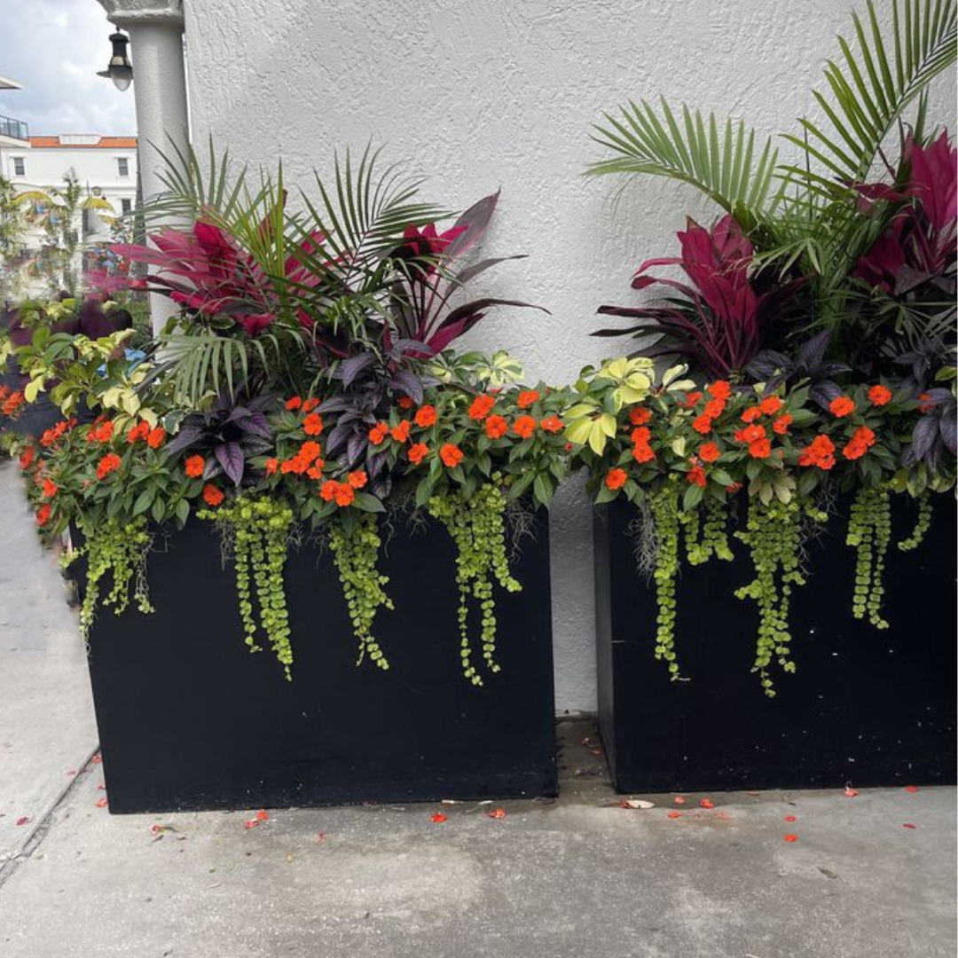 Rectangle planter POTS (WITHOUT PLANT)