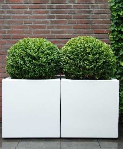 Rectangle planter POTS (WITHOUT PLANT)