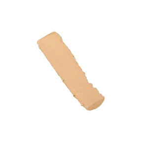 Christine Professional Paint Stick - Shade CN-Ivory