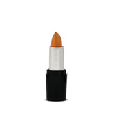 Christine Concealer Stick - Shade 08-BEIGE