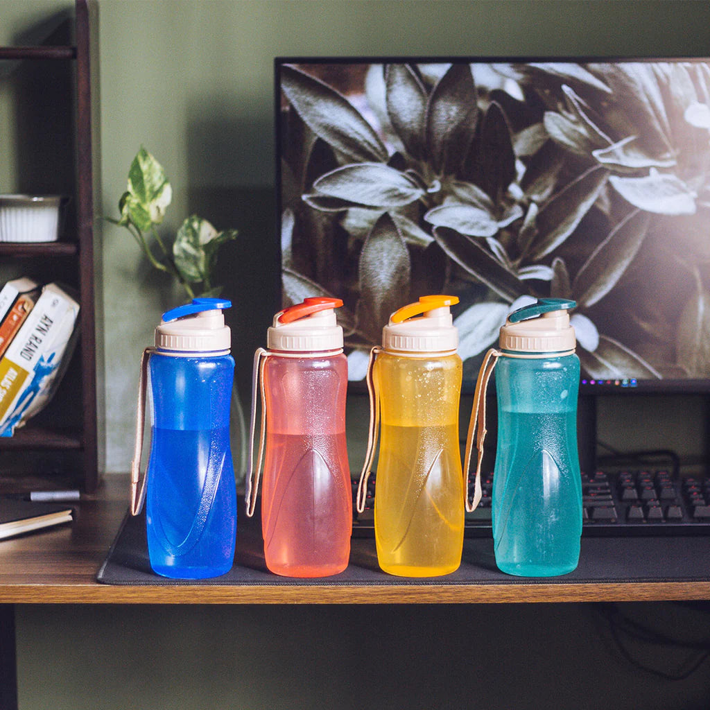 SPRING WATER BOTTLE 2 PC SET - M 850ML