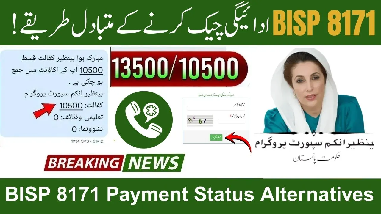 BISP 8171 Payment Status Alternatives