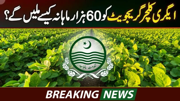 CM Punjab Agriculture Internship Program 2025 – Paid Internship for Agriculture Graduates