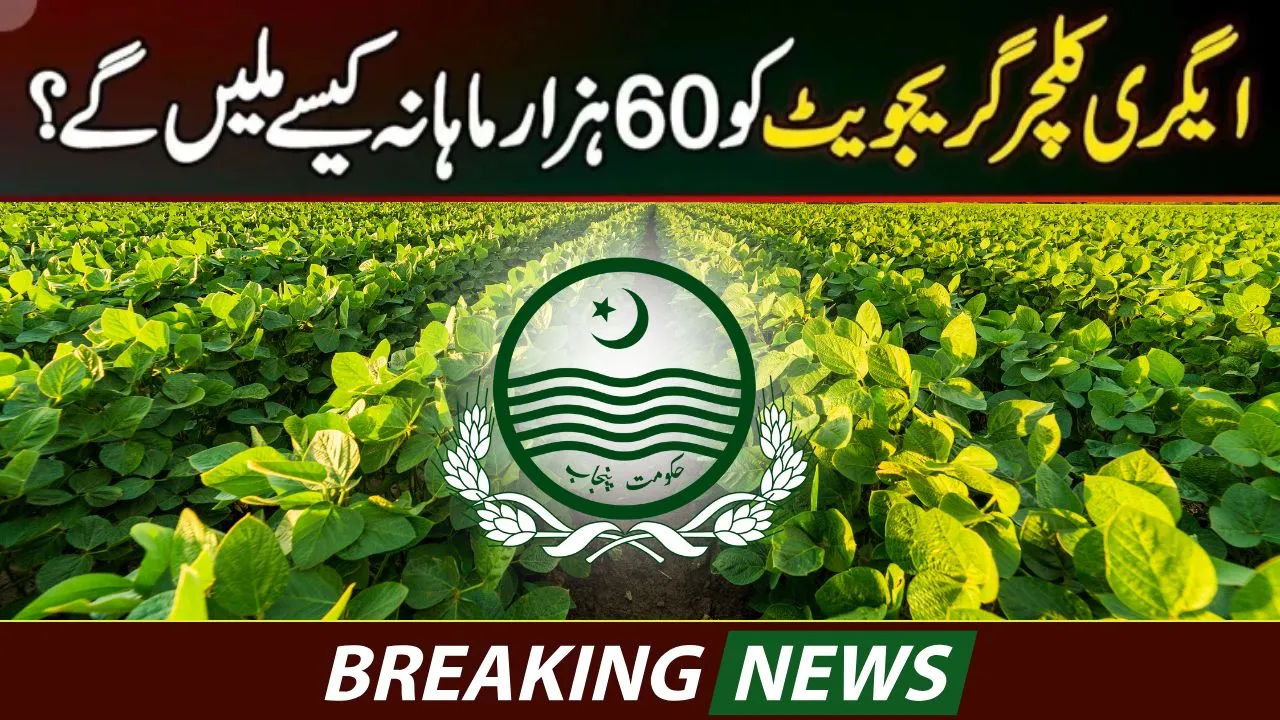 CM Punjab Agriculture Internship Program 2025 – Paid Internship for Agriculture Graduates