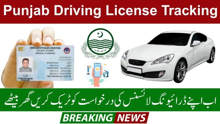 Punjab Driving License Tracking Online – How to Check Your License Status Easily